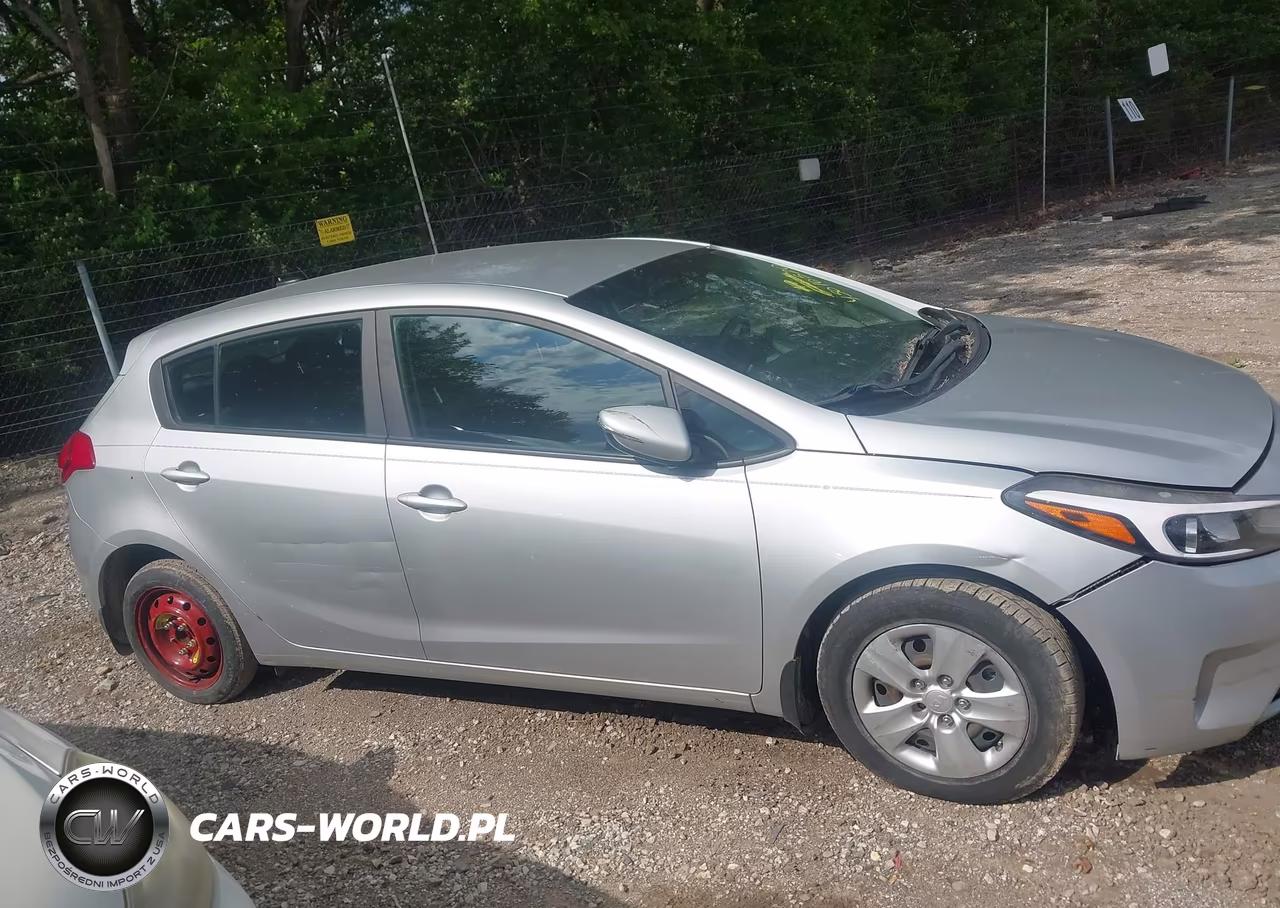 2017 Kia Forte Lx VIN:KNAFK5A81H5698491 - 12