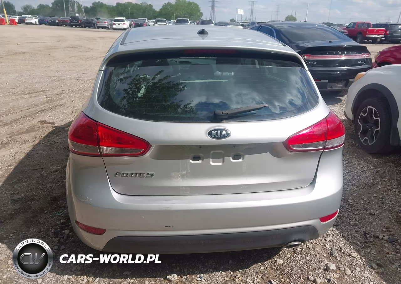 2017 Kia Forte Lx VIN:KNAFK5A81H5698491 - 15