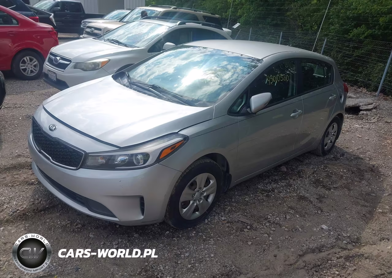 2017 Kia Forte Lx VIN:KNAFK5A81H5698491 - 2