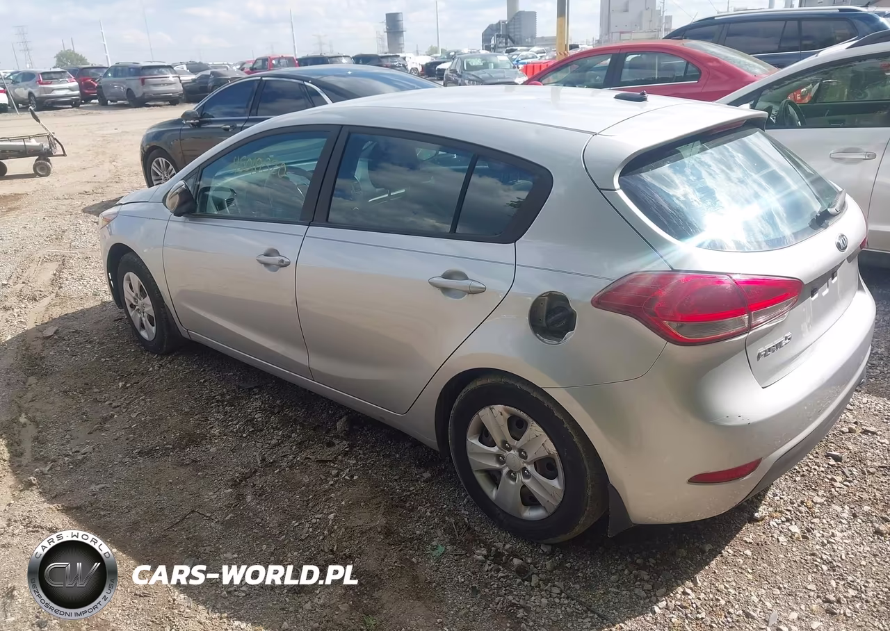 2017 Kia Forte Lx VIN:KNAFK5A81H5698491 - 3