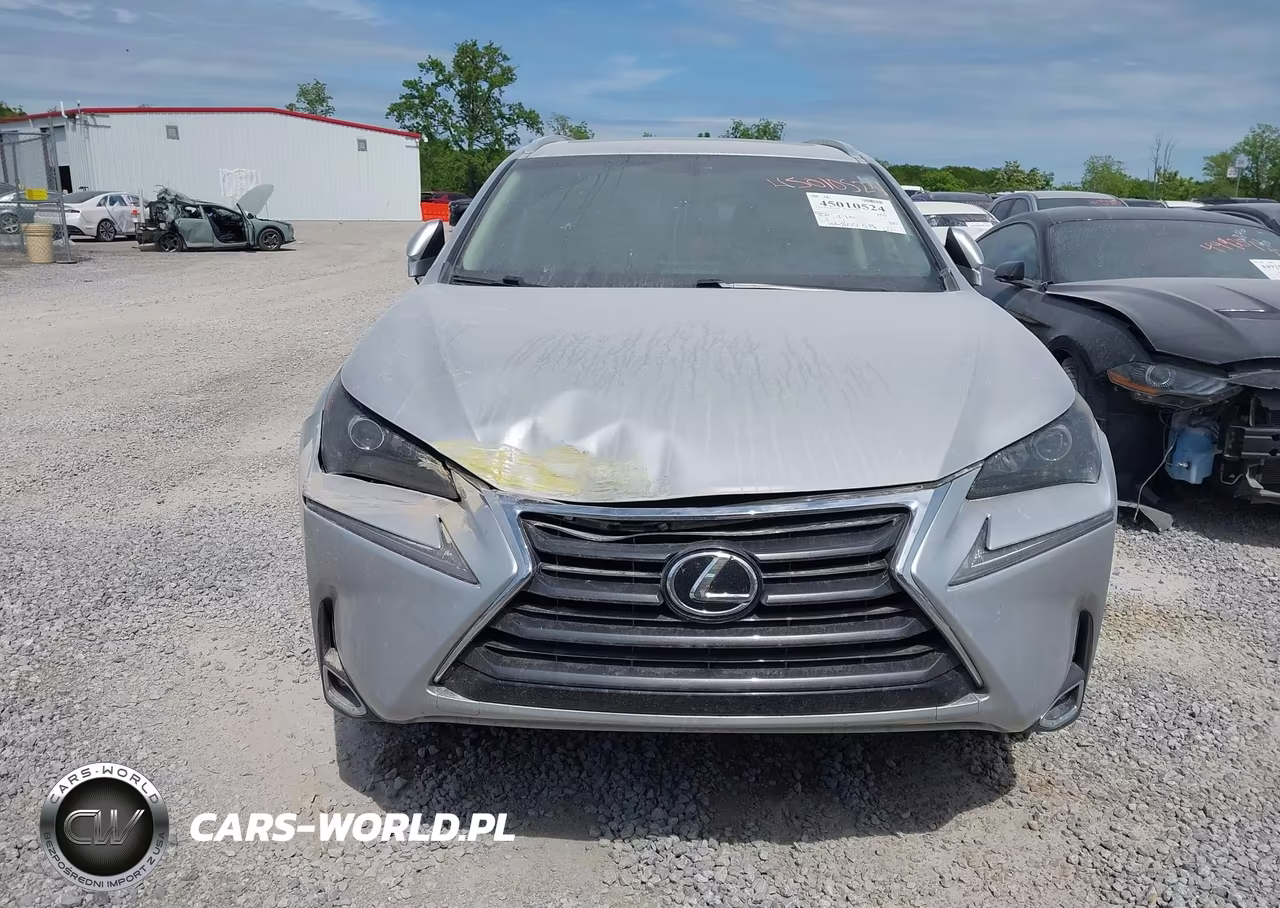2017 Lexus Nx 200T VIN:JTJBARBZ3H2128171 - 12