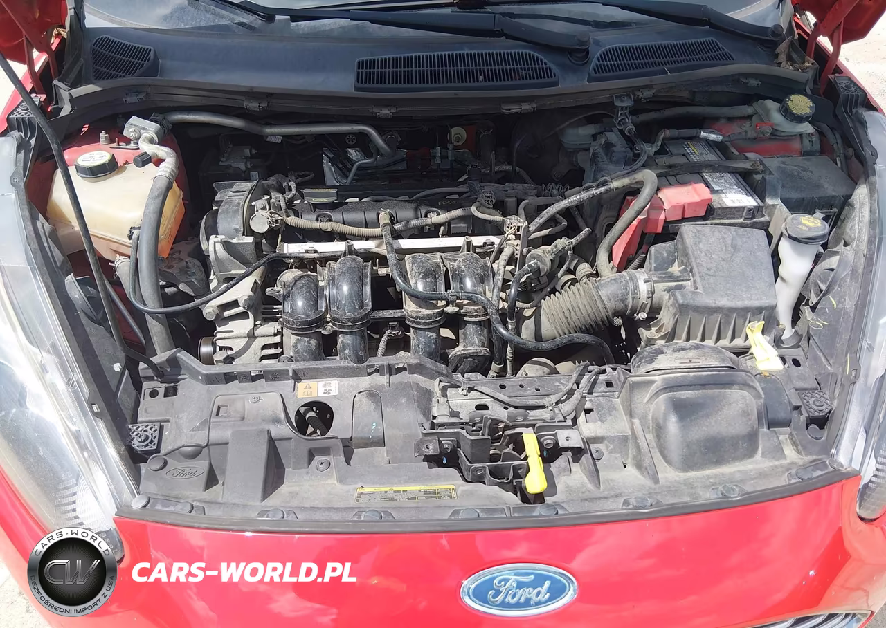 2014 Ford Fiesta Se VIN:3FADP4EJ5EM114463 - 10