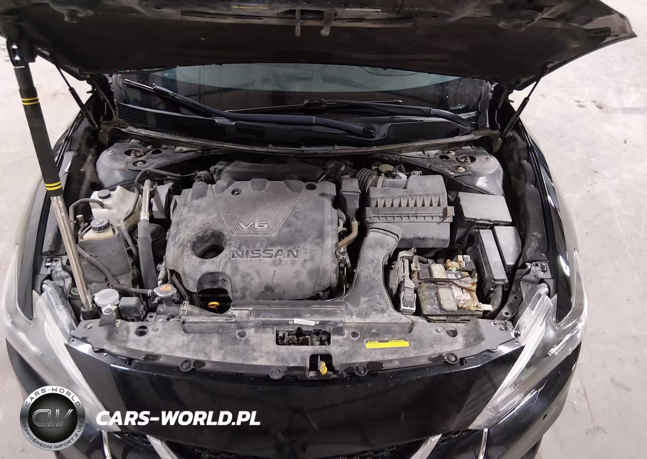 2018 Nissan Maxima 3.5 Sl VIN:1N4AA6AP6JC373890 - 10