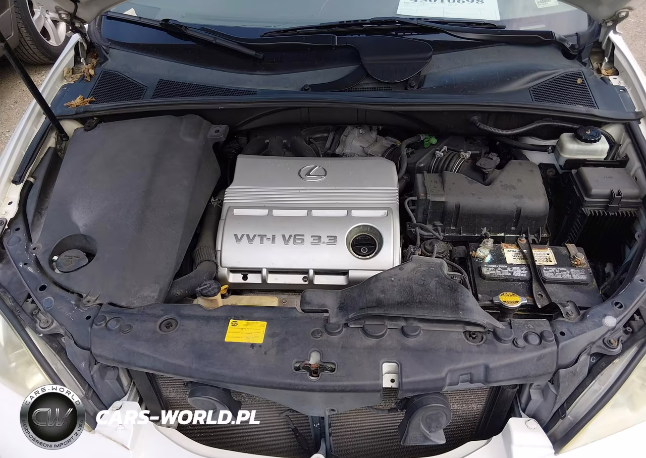 2005 Lexus Rx 330 VIN:2T2GA31U95C033070 - 10