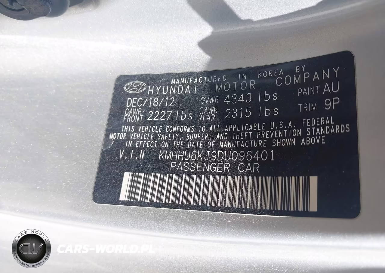 2013 Hyundai Genesis 3.8 Track VIN:KMHHU6KJ9DU096401 - 9