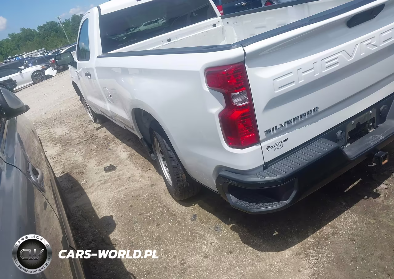 2019 Chevrolet Silverado 1500 Work Truck VIN:3GCNWAEH0KG296273 - 3