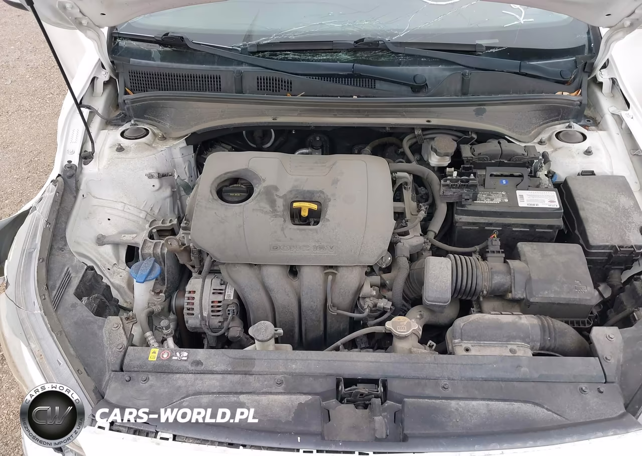 2019 Kia Forte Lxs VIN:3KPF24AD7KE081070 - 10