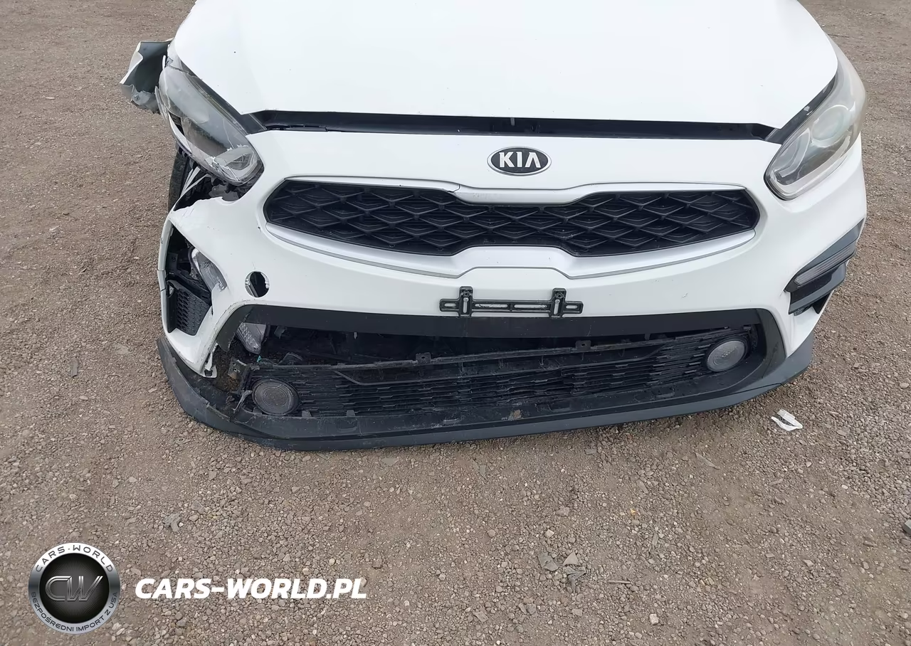 2019 Kia Forte Lxs VIN:3KPF24AD7KE081070 - 18