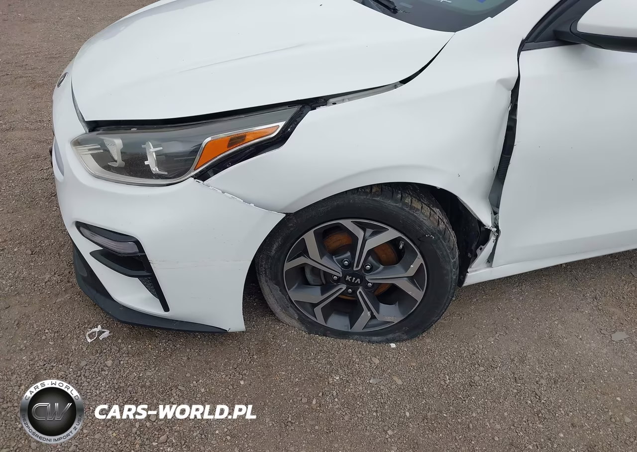 2019 Kia Forte Lxs VIN:3KPF24AD7KE081070 - 19
