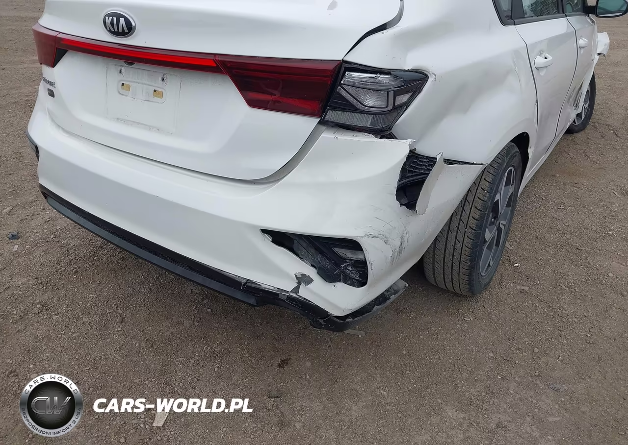 2019 Kia Forte Lxs VIN:3KPF24AD7KE081070 - 20