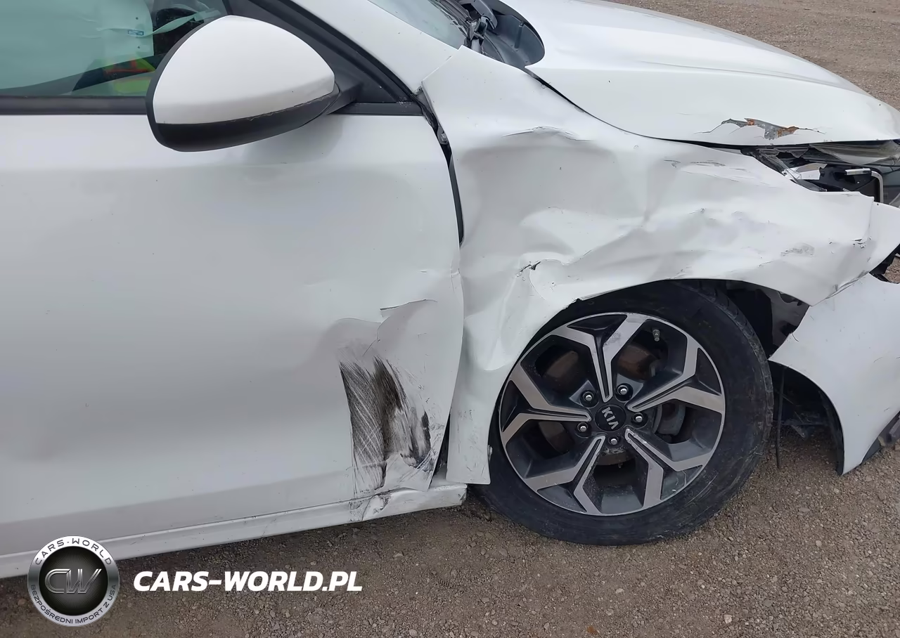 2019 Kia Forte Lxs VIN:3KPF24AD7KE081070 - 22