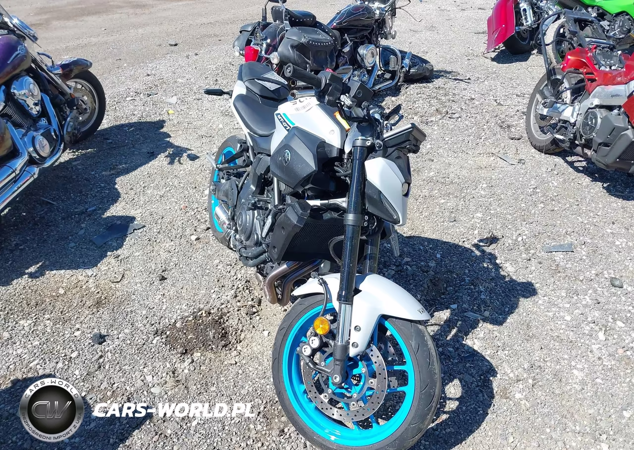 2025 Yamaha Mtn690