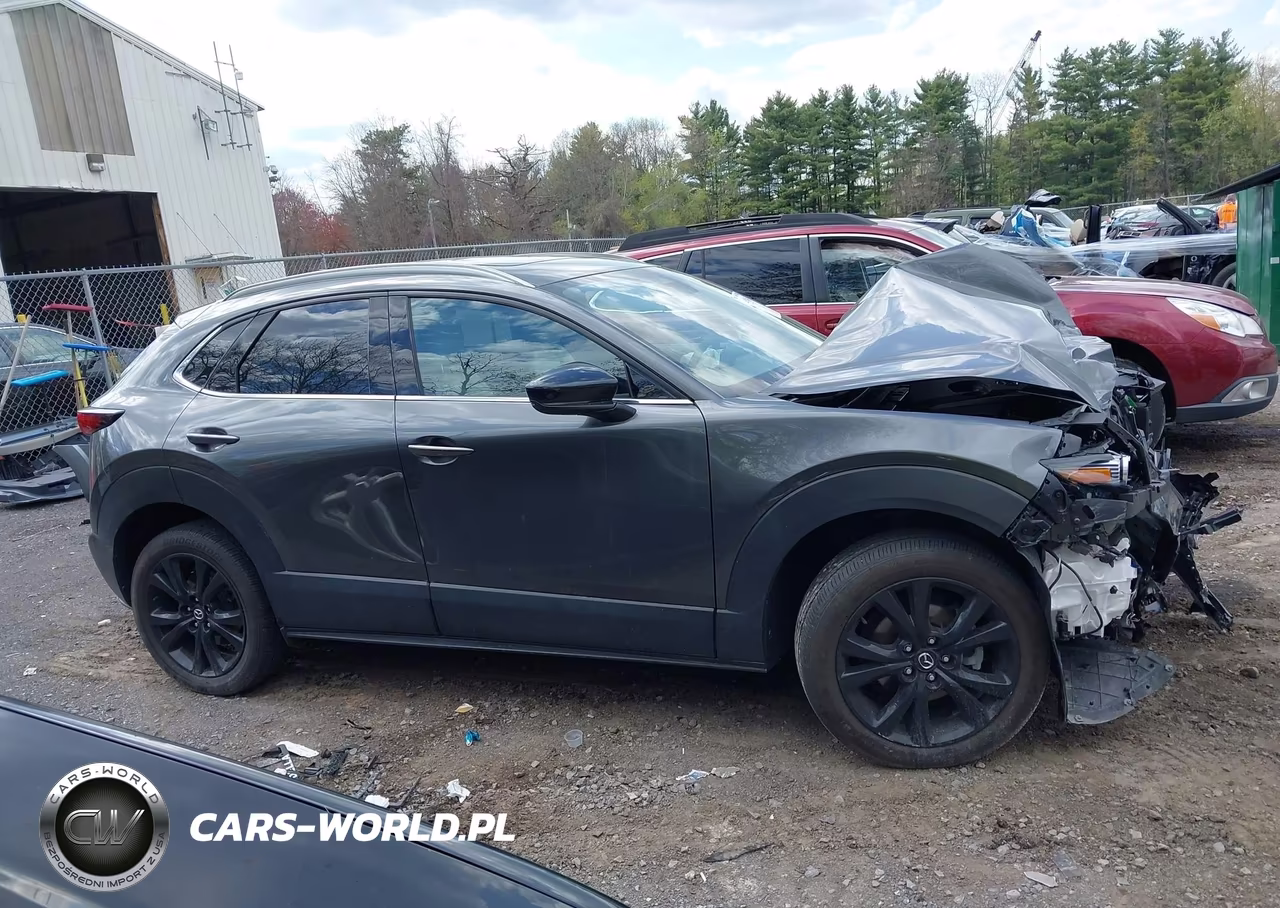 2024 Mazda Cx-30 2.5 Turbo Premium Package VIN:3MVDMBDY1RM627297 - 13