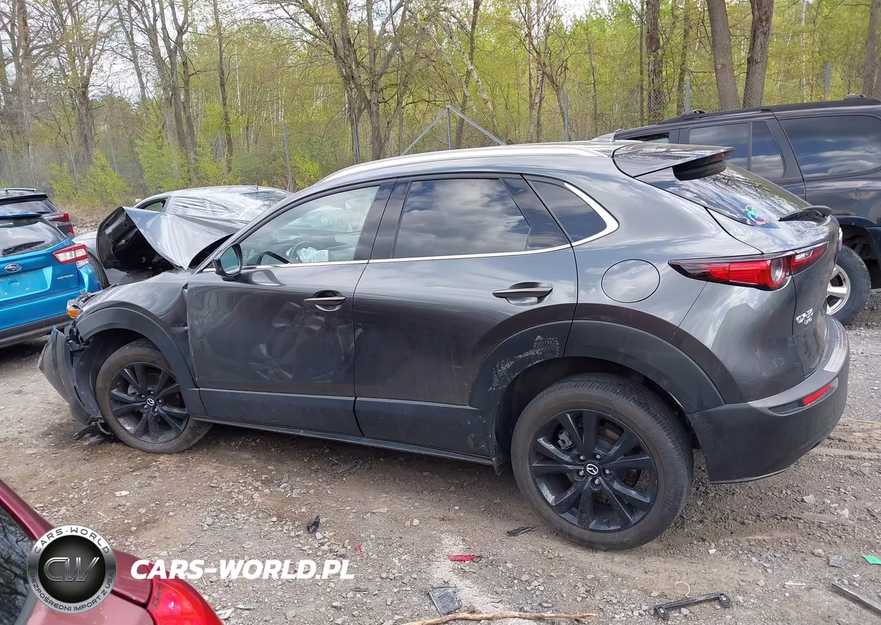 2024 Mazda Cx-30 2.5 Turbo Premium Package VIN:3MVDMBDY1RM627297 - 14