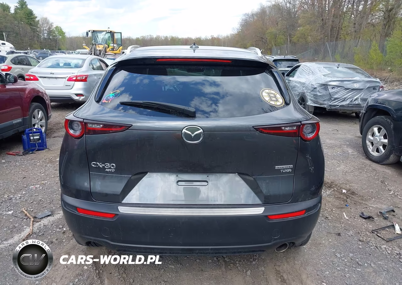 2024 Mazda Cx-30 2.5 Turbo Premium Package VIN:3MVDMBDY1RM627297 - 16