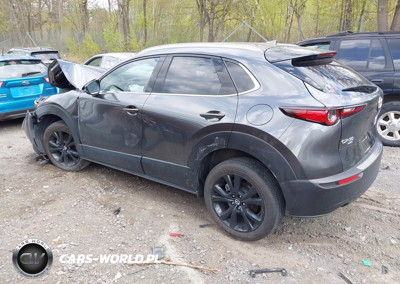 2024 Mazda Cx-30 2.5 Turbo Premium Package VIN:3MVDMBDY1RM627297 - 3