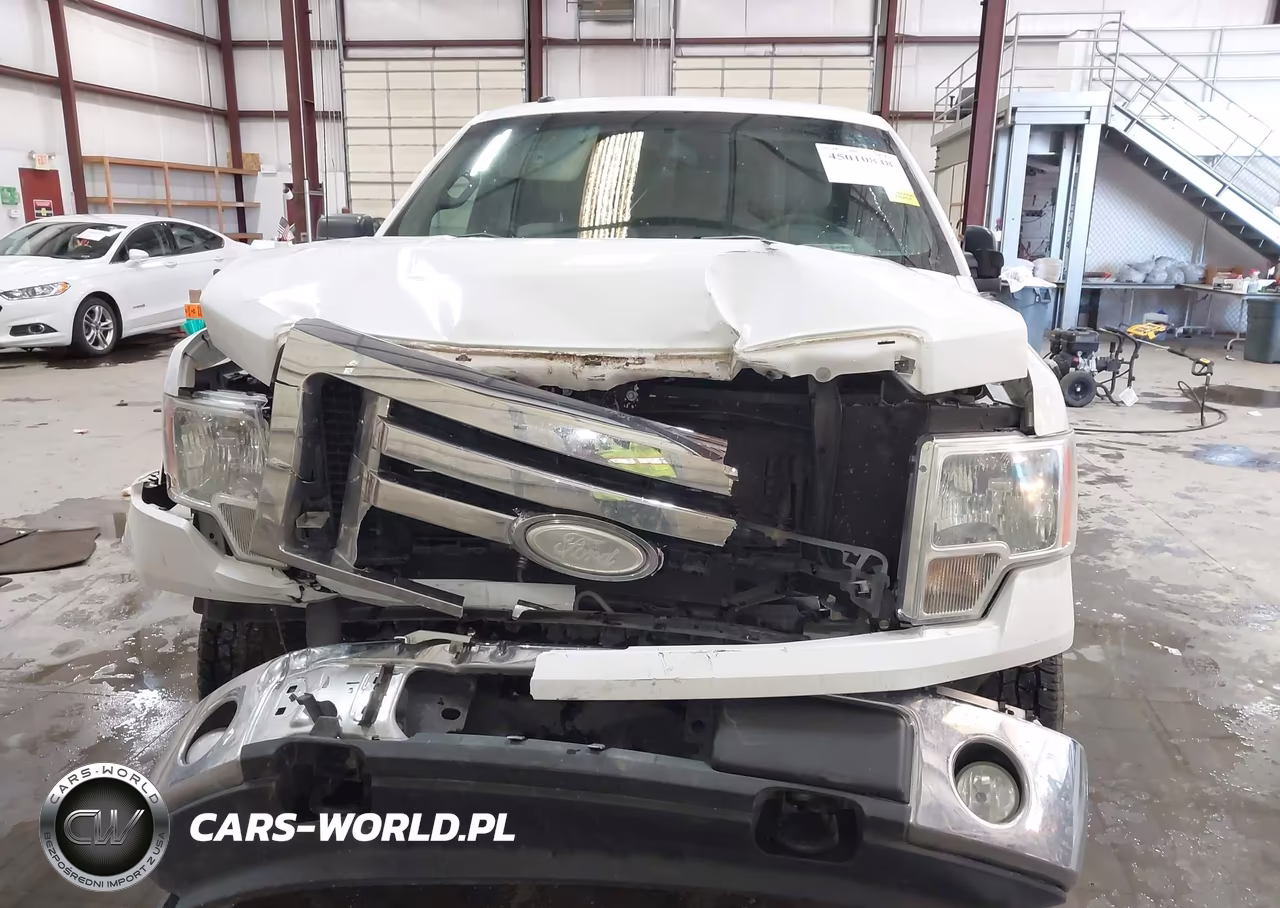 2009 Ford F-150 Fx4-Lariat-Xl-Xlt VIN:1FTPX14V59FA20745 - 12