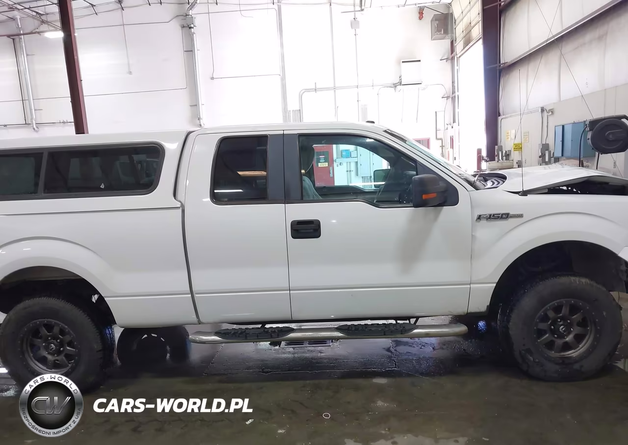 2009 Ford F-150 Fx4-Lariat-Xl-Xlt VIN:1FTPX14V59FA20745 - 13