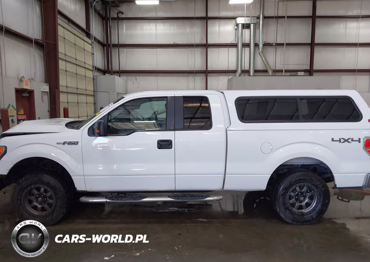 2009 Ford F-150 Fx4-Lariat-Xl-Xlt VIN:1FTPX14V59FA20745 - 14