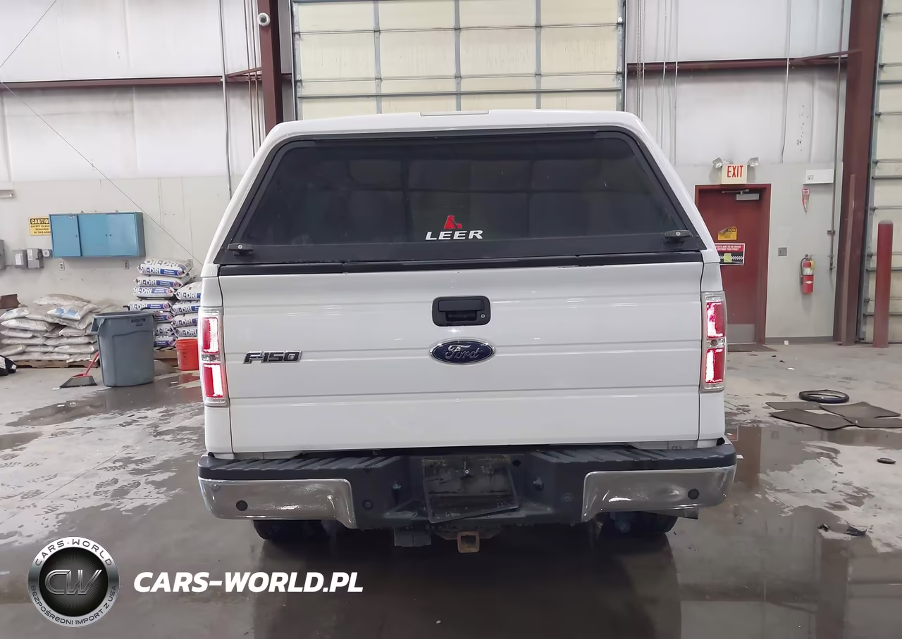 2009 Ford F-150 Fx4-Lariat-Xl-Xlt VIN:1FTPX14V59FA20745 - 16