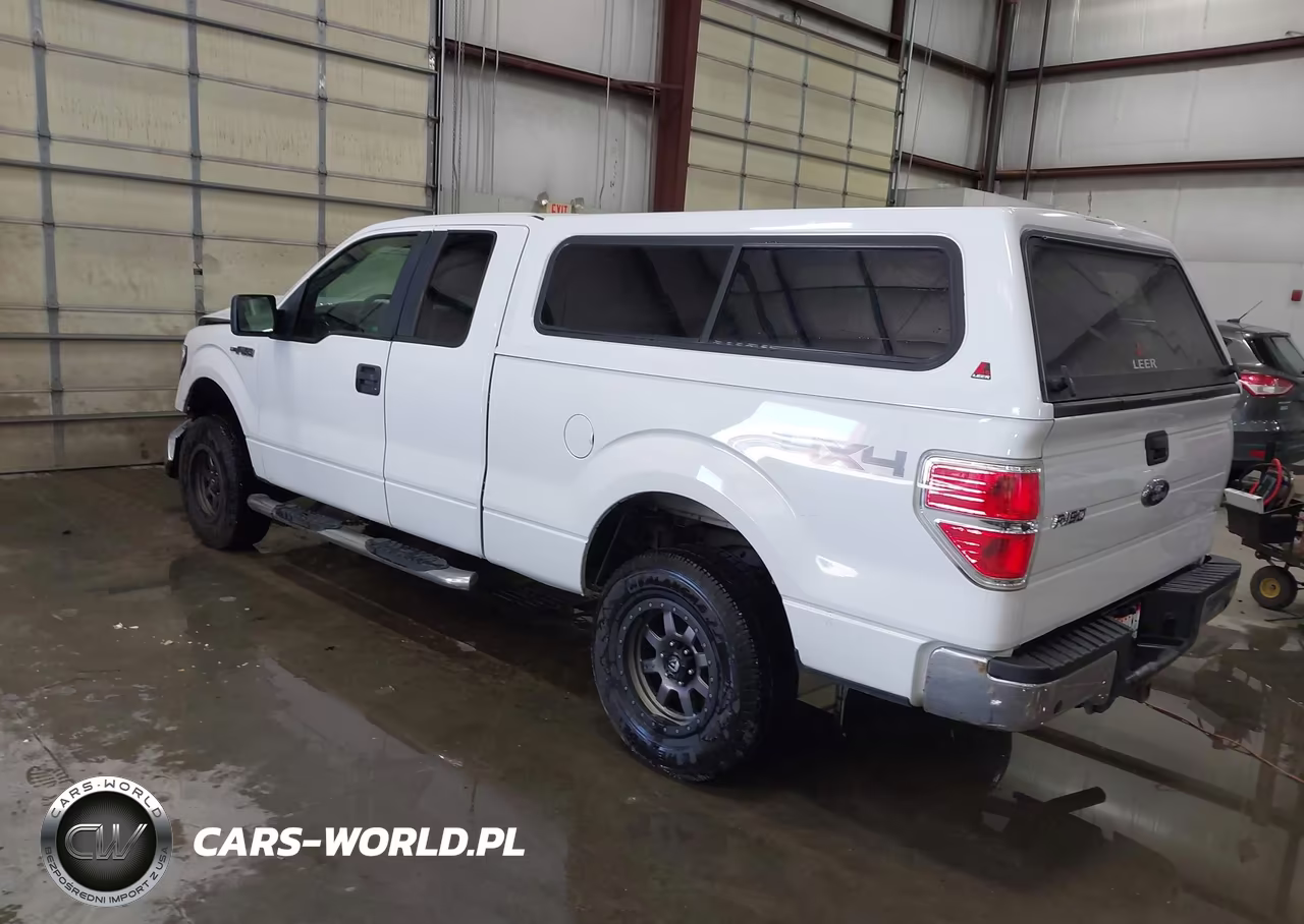 2009 Ford F-150 Fx4-Lariat-Xl-Xlt VIN:1FTPX14V59FA20745 - 3
