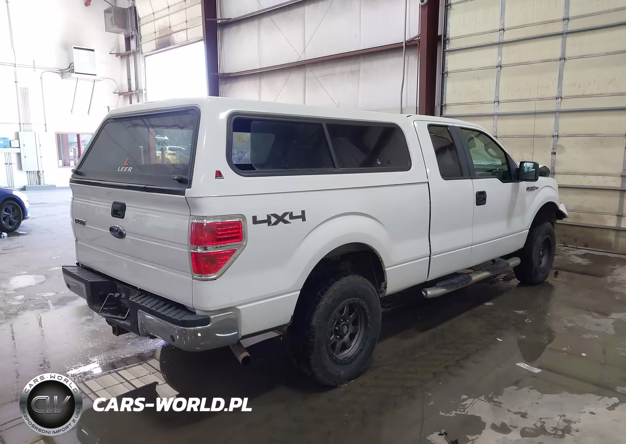 2009 Ford F-150 Fx4-Lariat-Xl-Xlt VIN:1FTPX14V59FA20745 - 4
