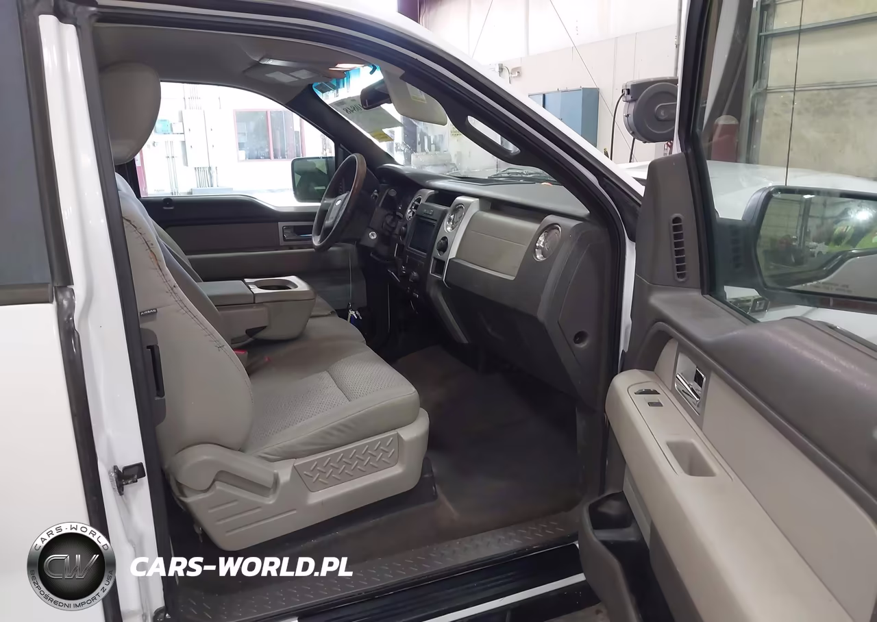 2009 Ford F-150 Fx4-Lariat-Xl-Xlt VIN:1FTPX14V59FA20745 - 5