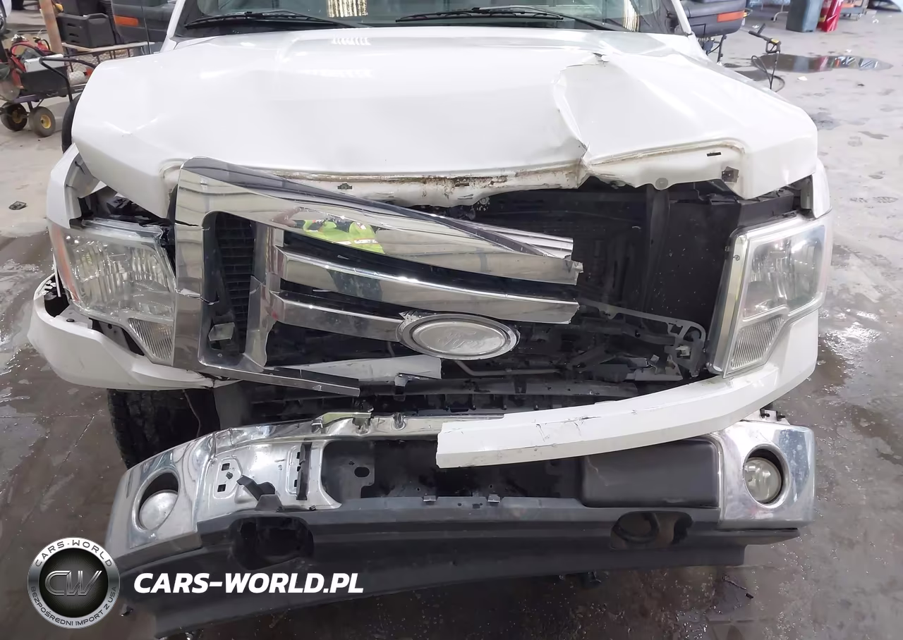 2009 Ford F-150 Fx4-Lariat-Xl-Xlt VIN:1FTPX14V59FA20745 - 6