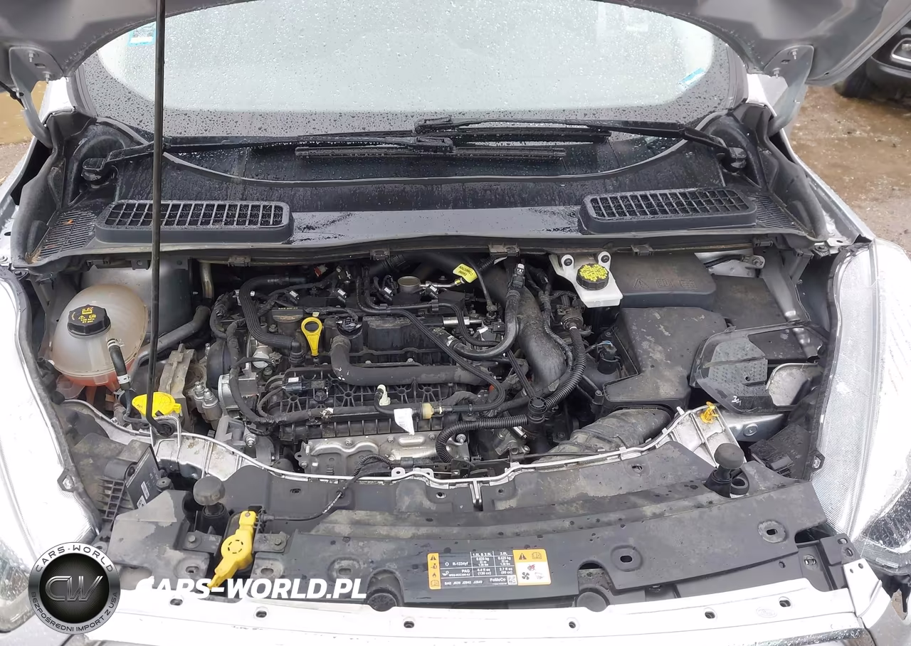 2019 Ford Escape Sel VIN:1FMCU0HD5KUC02915 - 10