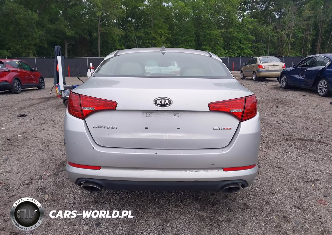 2011 Kia Optima Ex VIN:KNAGN4A71B5194110 - 17