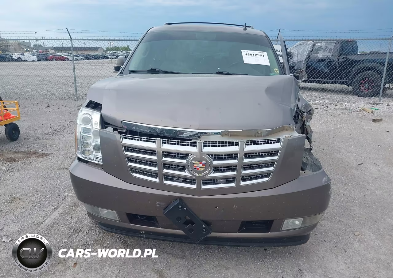 2013 Cadillac Escalade Premium VIN:1GYS3CEF9DR308875 - 10