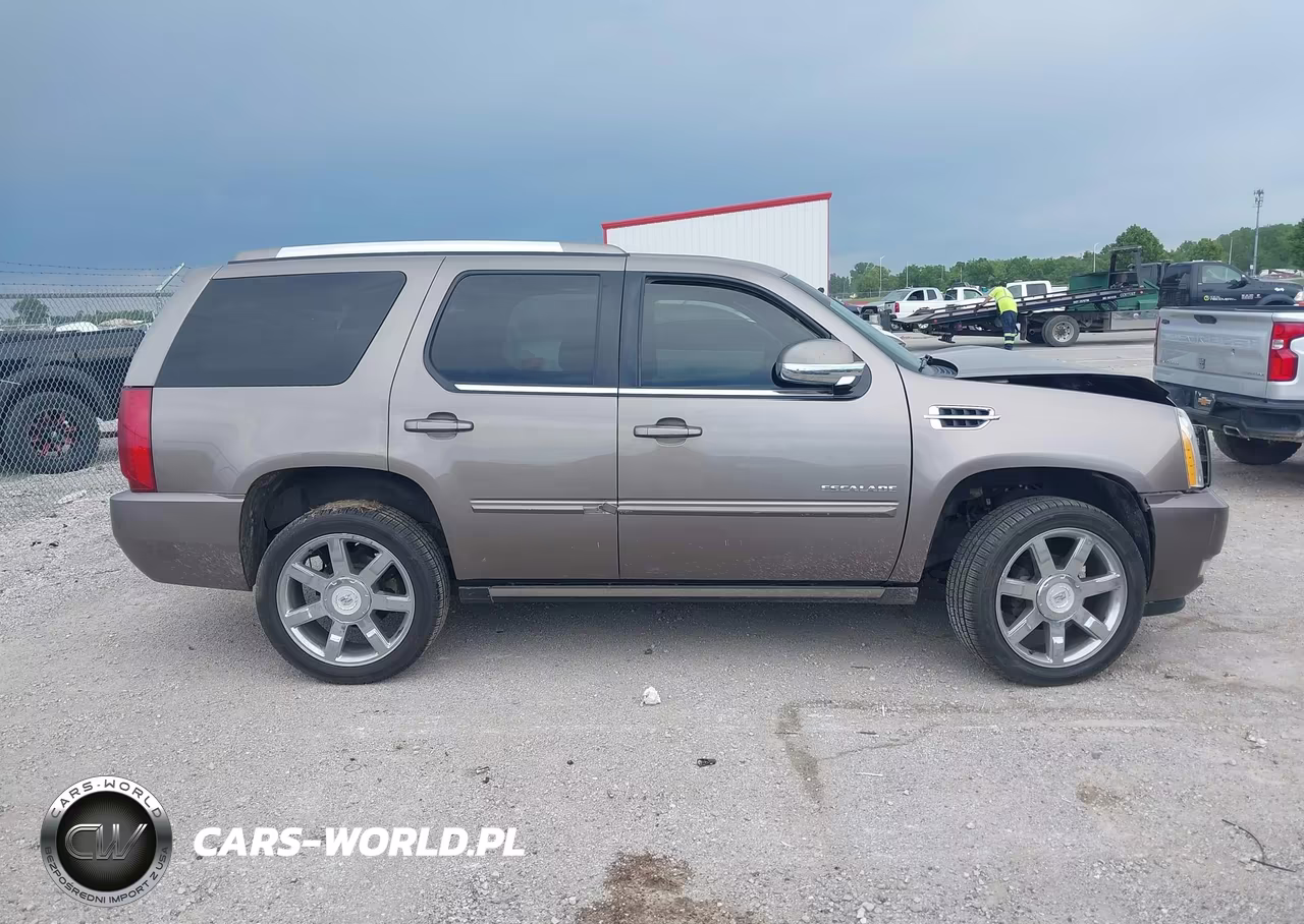 2013 Cadillac Escalade Premium VIN:1GYS3CEF9DR308875 - 11