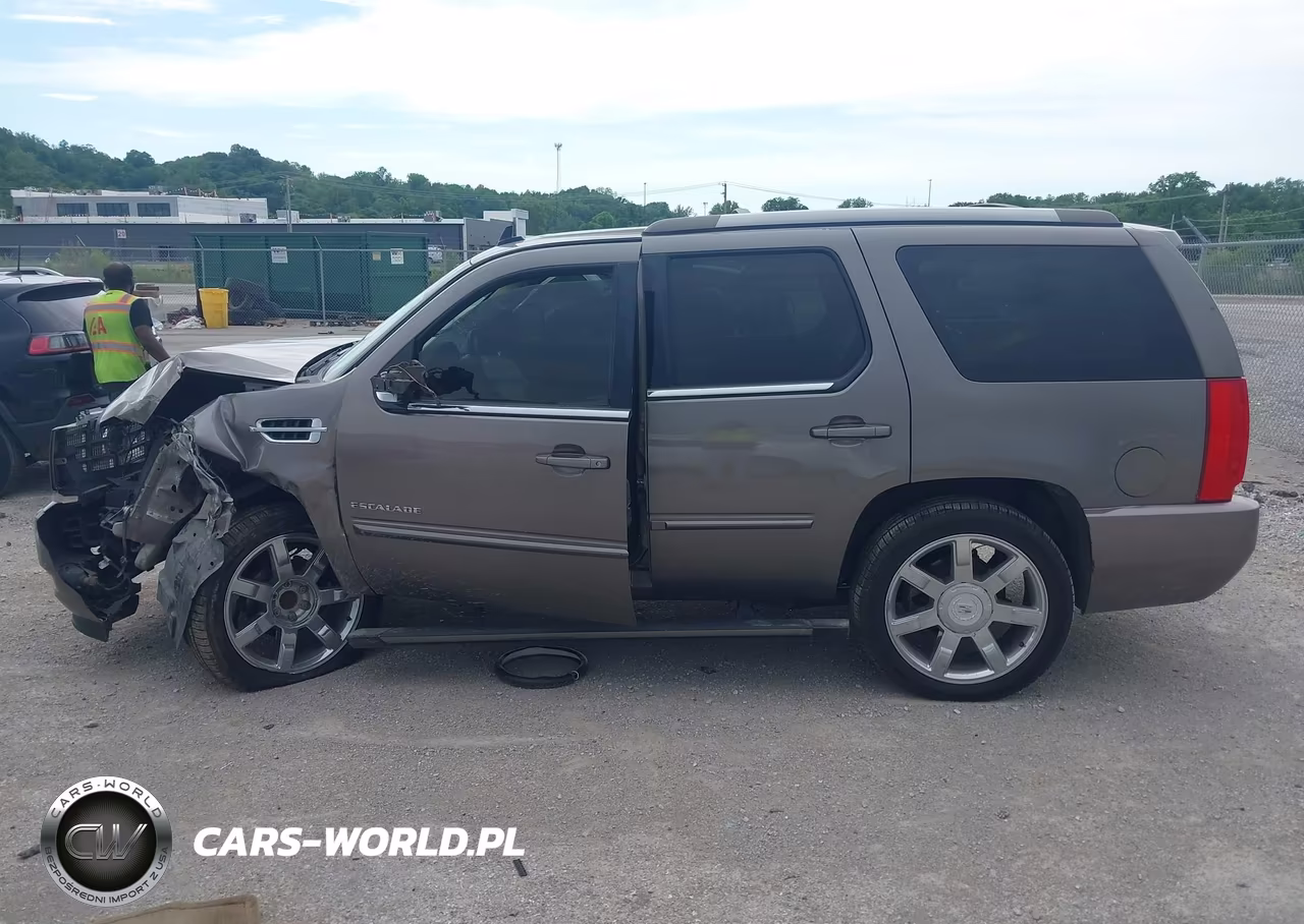 2013 Cadillac Escalade Premium VIN:1GYS3CEF9DR308875 - 12