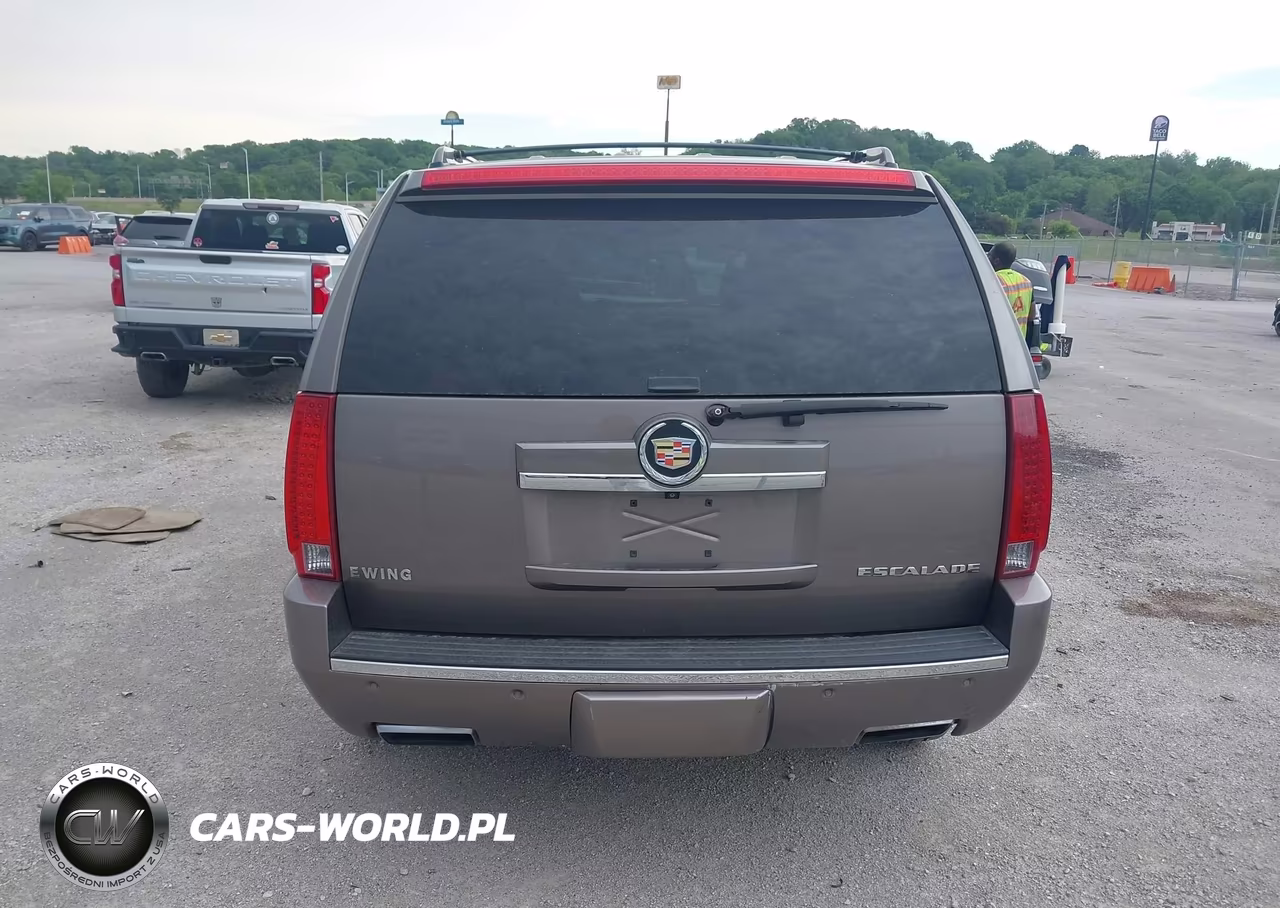 2013 Cadillac Escalade Premium VIN:1GYS3CEF9DR308875 - 14