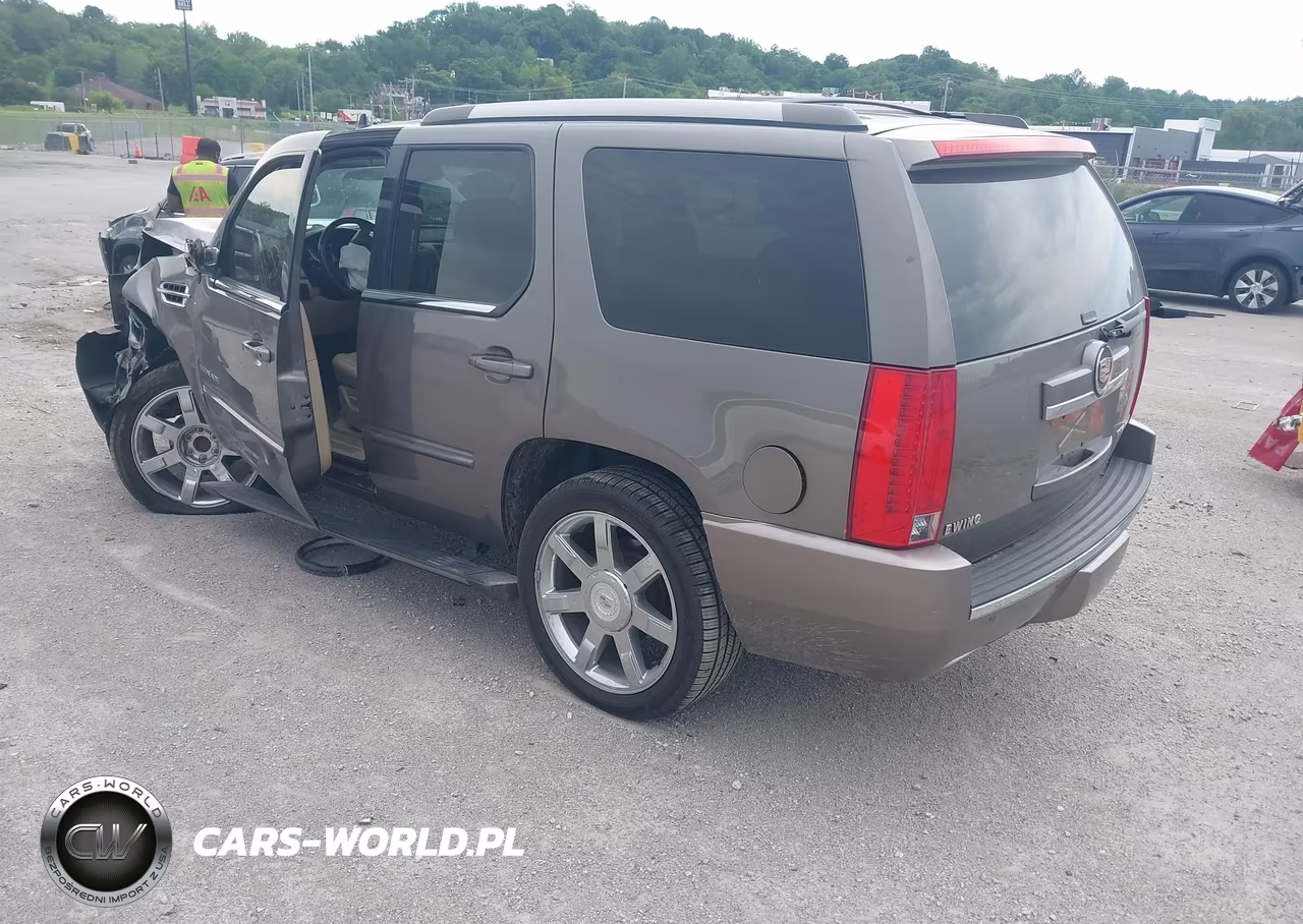 2013 Cadillac Escalade Premium VIN:1GYS3CEF9DR308875 - 3