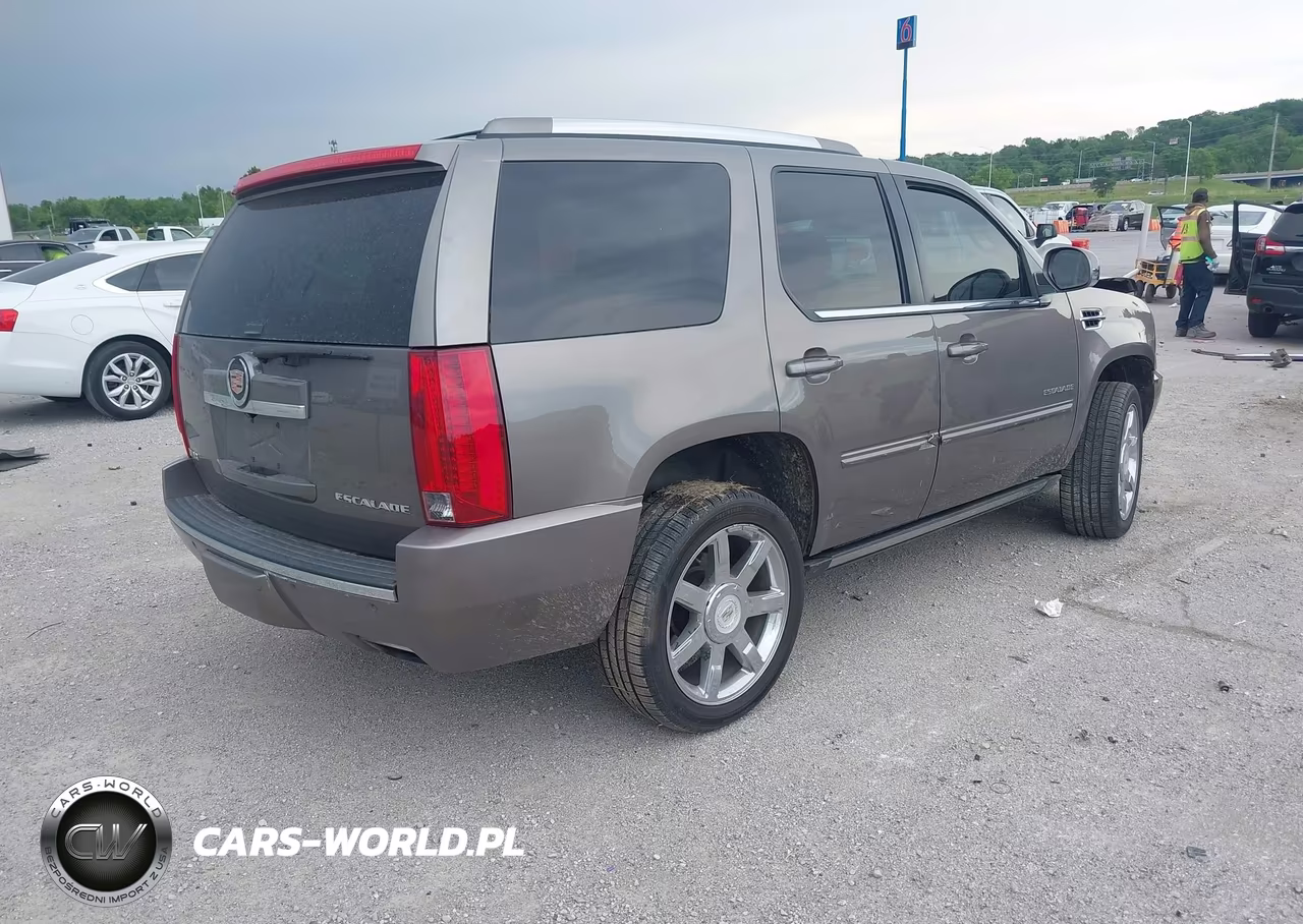 2013 Cadillac Escalade Premium VIN:1GYS3CEF9DR308875 - 4