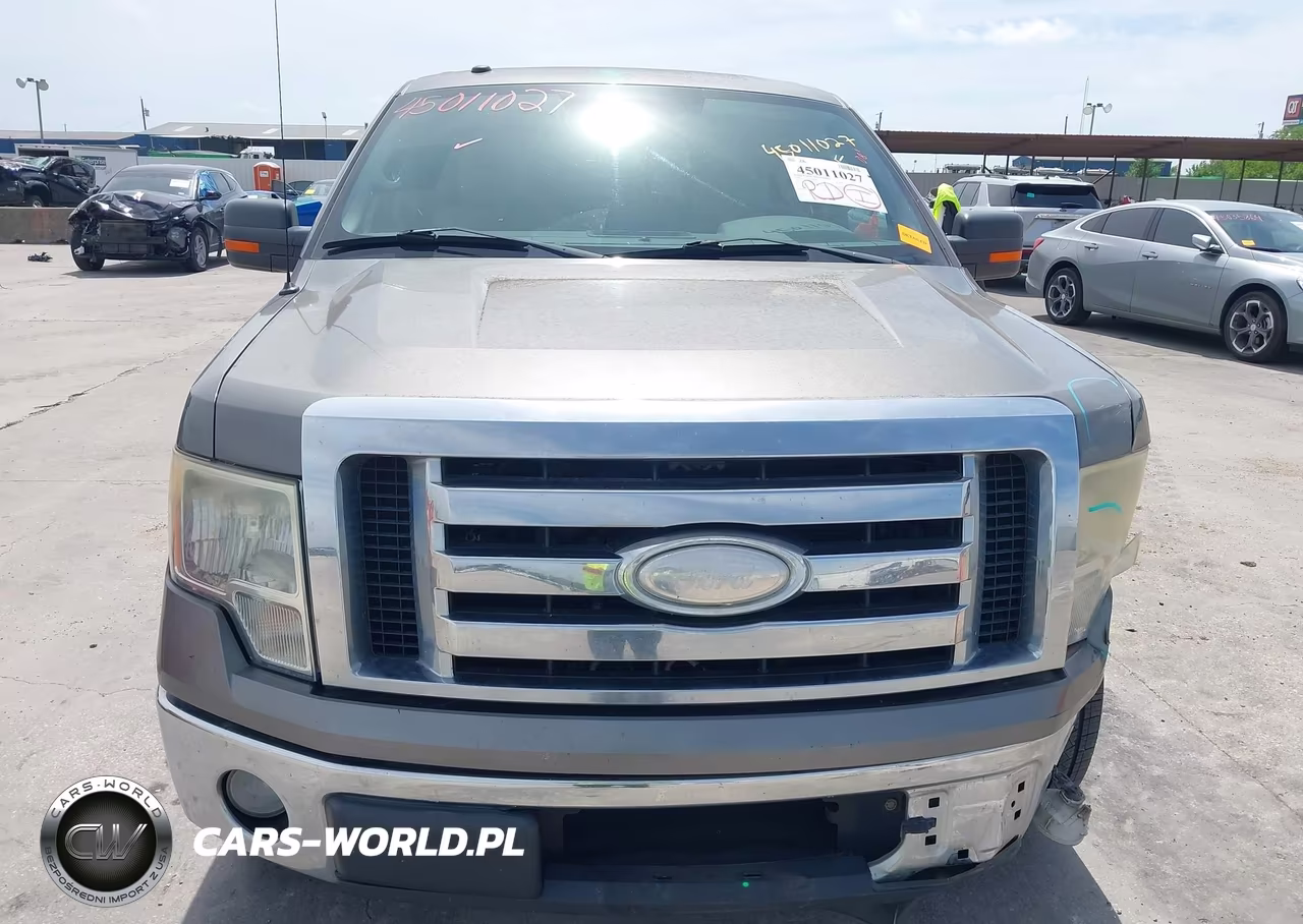2009 Ford F-150 Stx-Xl-Xlt VIN:1FTRX12889FA15321 - 12