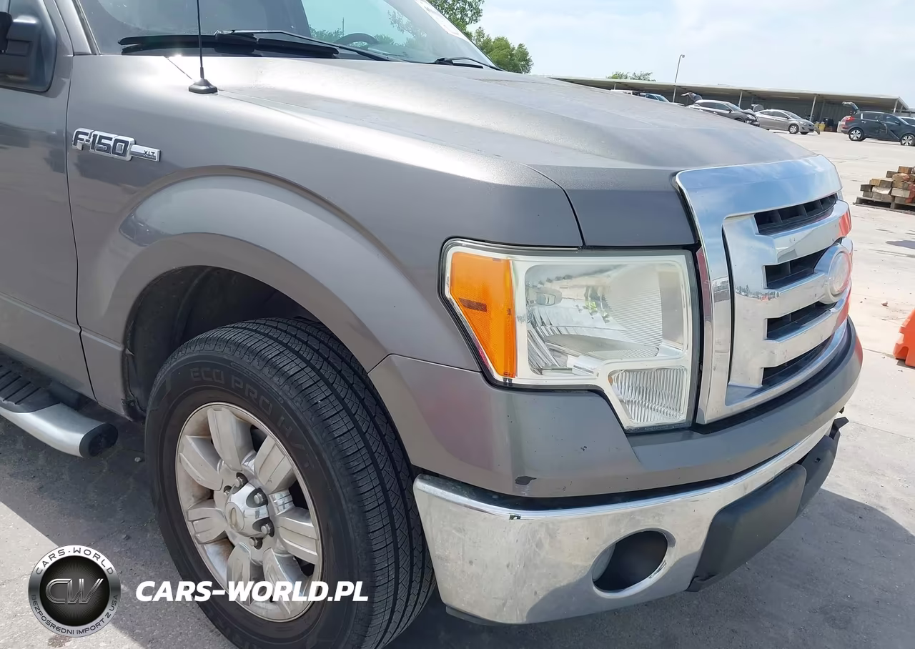 2009 Ford F-150 Stx-Xl-Xlt VIN:1FTRX12889FA15321 - 18