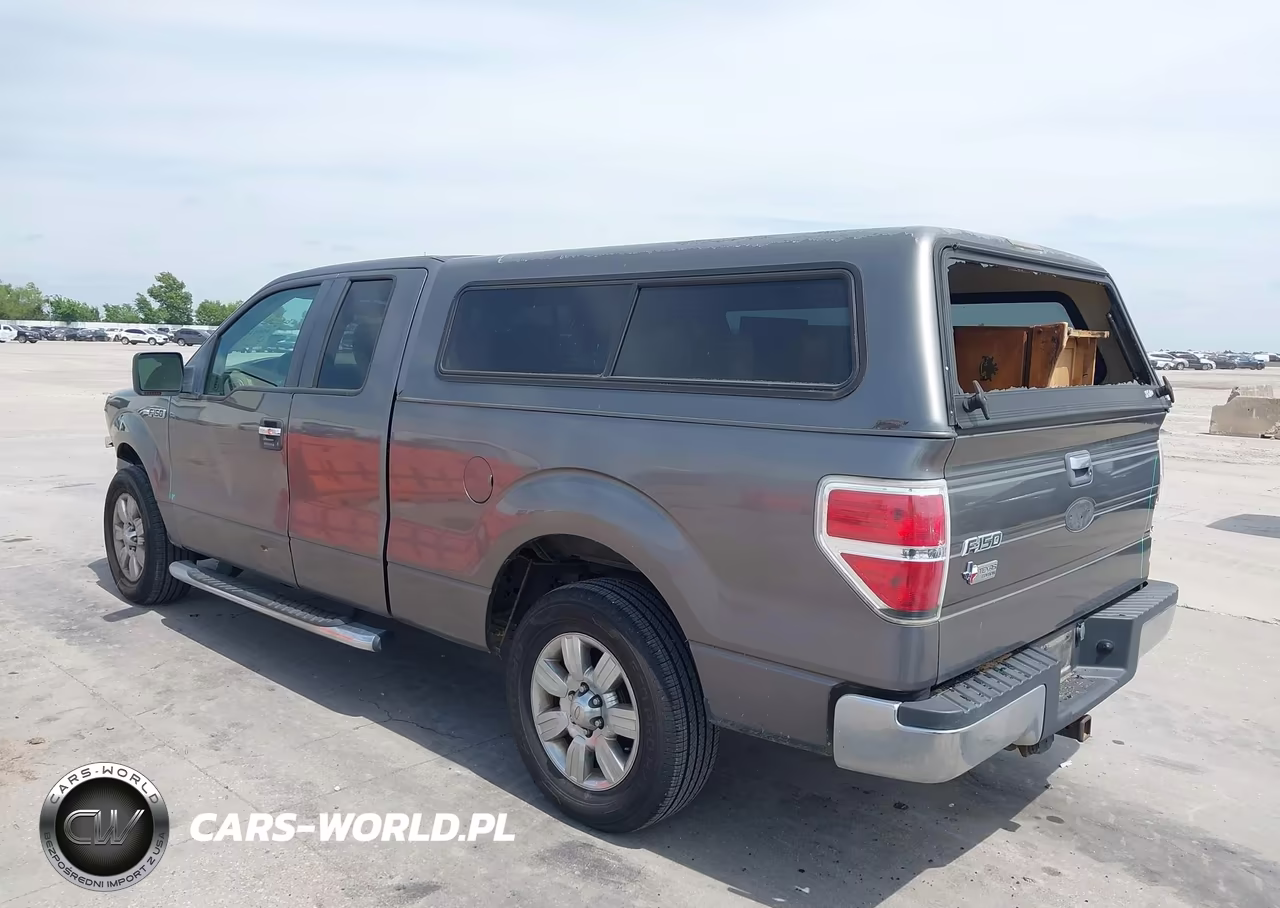2009 Ford F-150 Stx-Xl-Xlt VIN:1FTRX12889FA15321 - 3