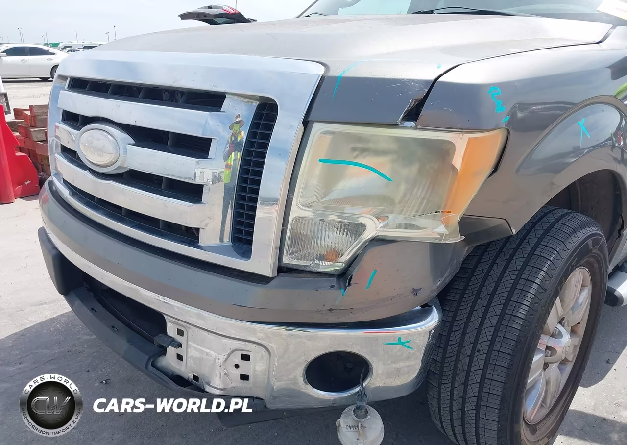 2009 Ford F-150 Stx-Xl-Xlt VIN:1FTRX12889FA15321 - 6