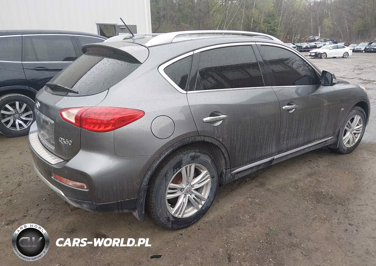 2017 Infiniti Qx50 VIN:JN1BJ0RR0HM401577 - 4