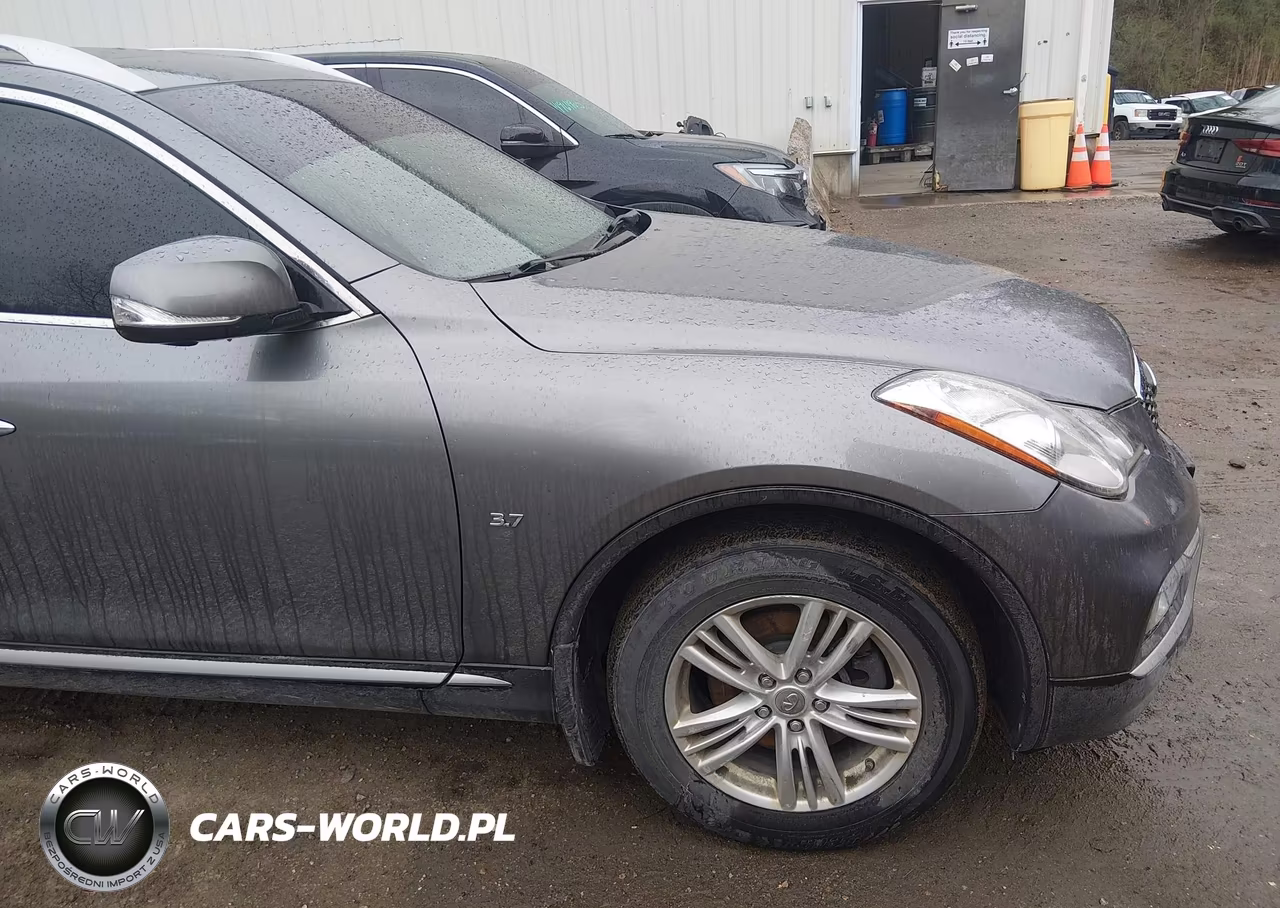 2017 Infiniti Qx50 VIN:JN1BJ0RR0HM401577 - 6