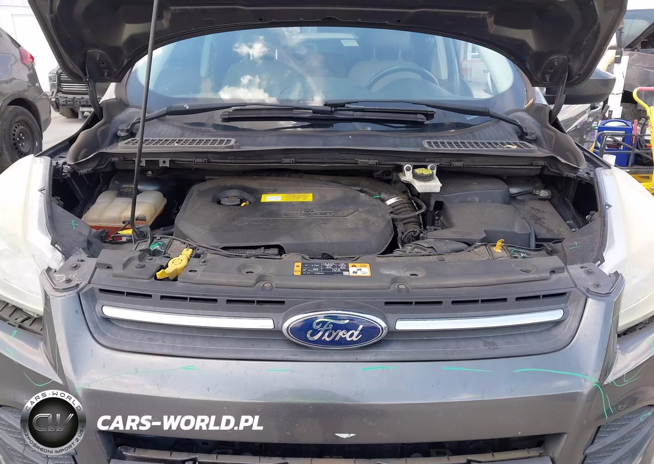 2016 Ford Escape Se VIN:1FMCU0GX3GUB04159 - 10