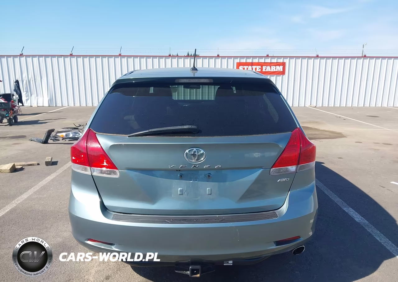 2010 Toyota Venza VIN:4T3BA3BB6AU018750 - 17