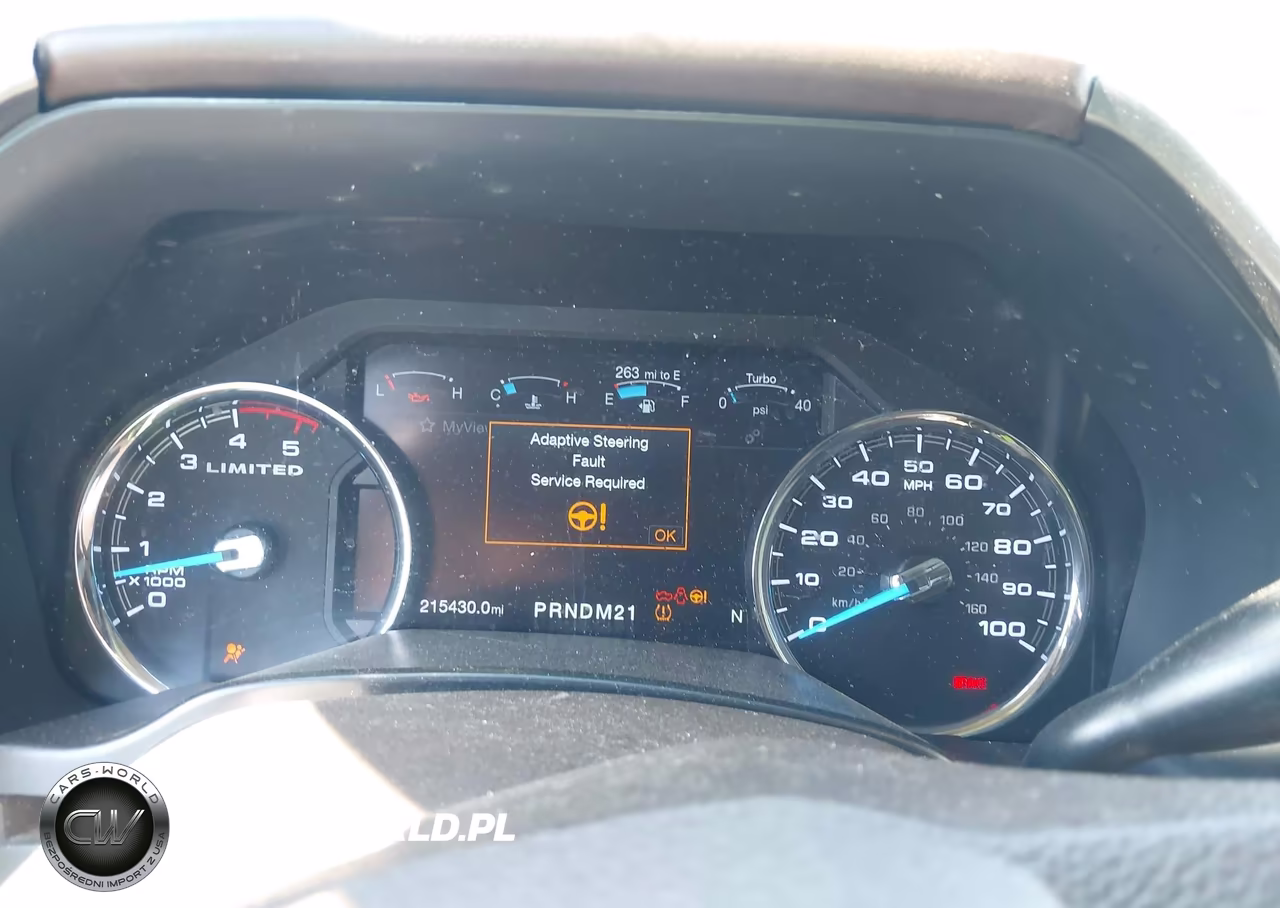 2019 Ford F-250 Limited VIN:1FT7W2BT1KED99751 - 7