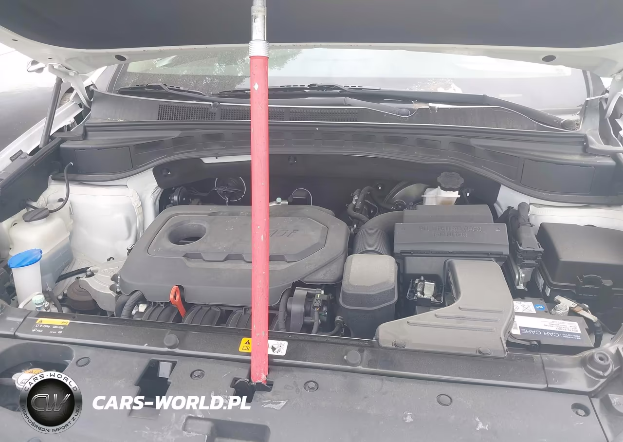 2017 Hyundai Santa Fe Sport 2.4L VIN:5NMZUDLBXHH007226 - 10