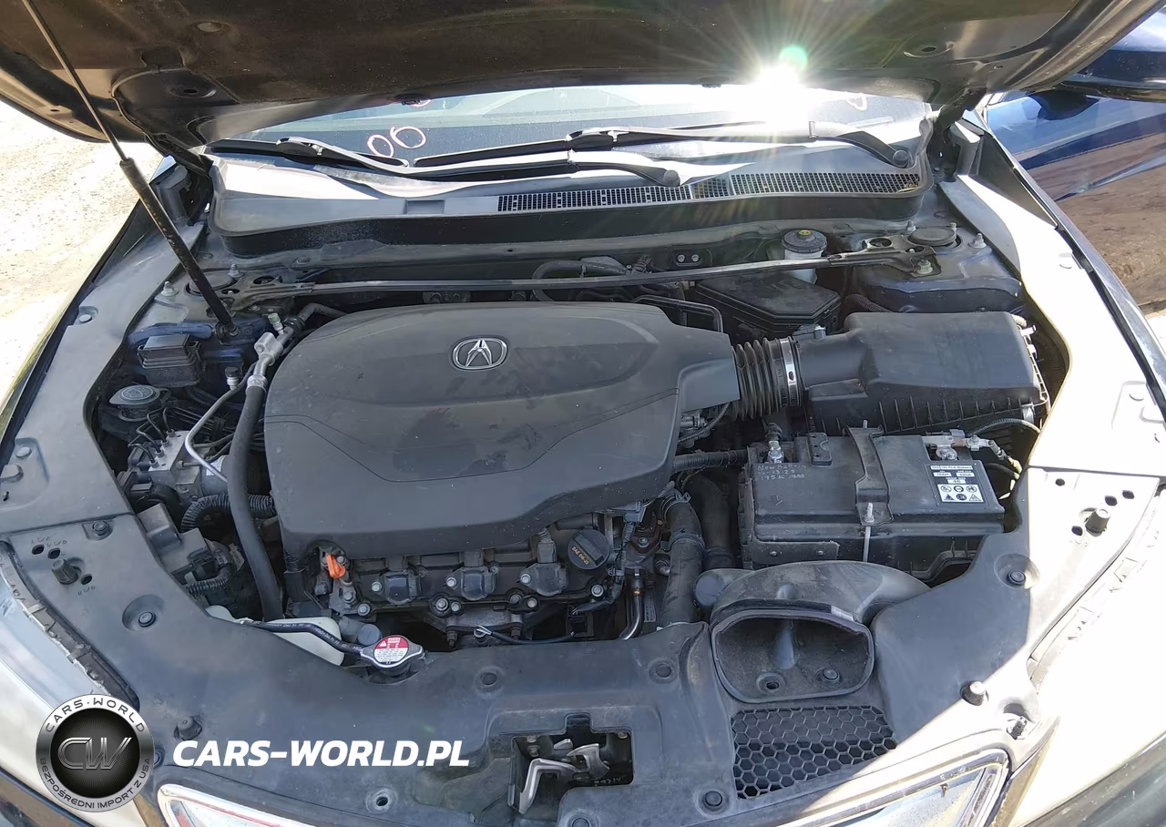 2015 Acura Tlx V6 Advance VIN:19UUB3F72FA000409 - 10