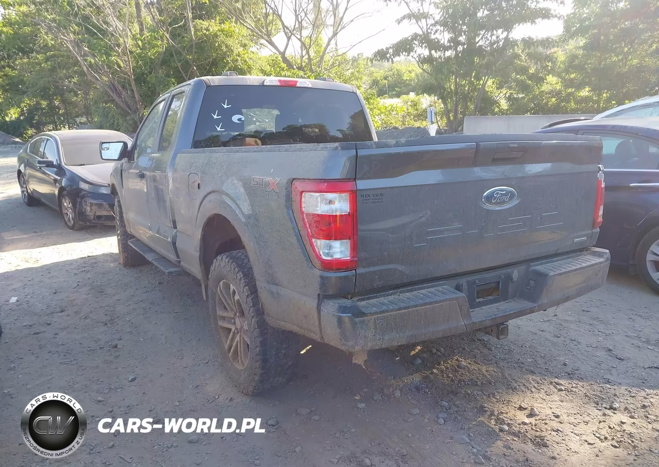 2023 Ford F-150 Xl VIN:1FTEX1EP8PKE50085 - 3