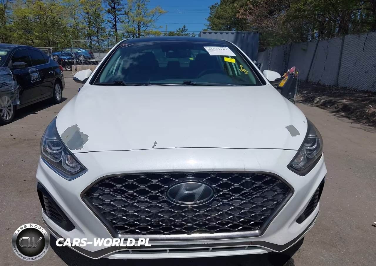 2019 Hyundai Sonata Limited VIN:5NPE34AF3KH732023 - 12