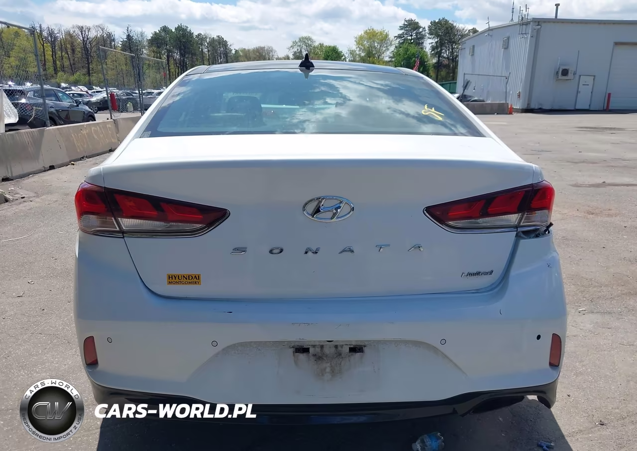 2019 Hyundai Sonata Limited VIN:5NPE34AF3KH732023 - 16